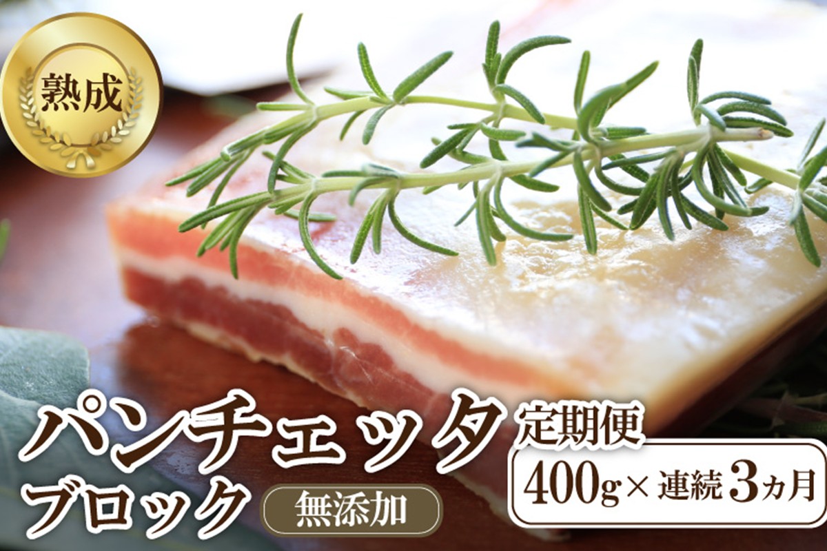 【定期便 毎月×3回】パンチェッタブロック（豚バラ肉の塩漬け）　約200g×2袋 ふるさと納税 豚肉 塩漬け ふるさと納税 ベーコン ふるさと納税 パンチェッタ 豚バラ 塩漬け スペイン料理