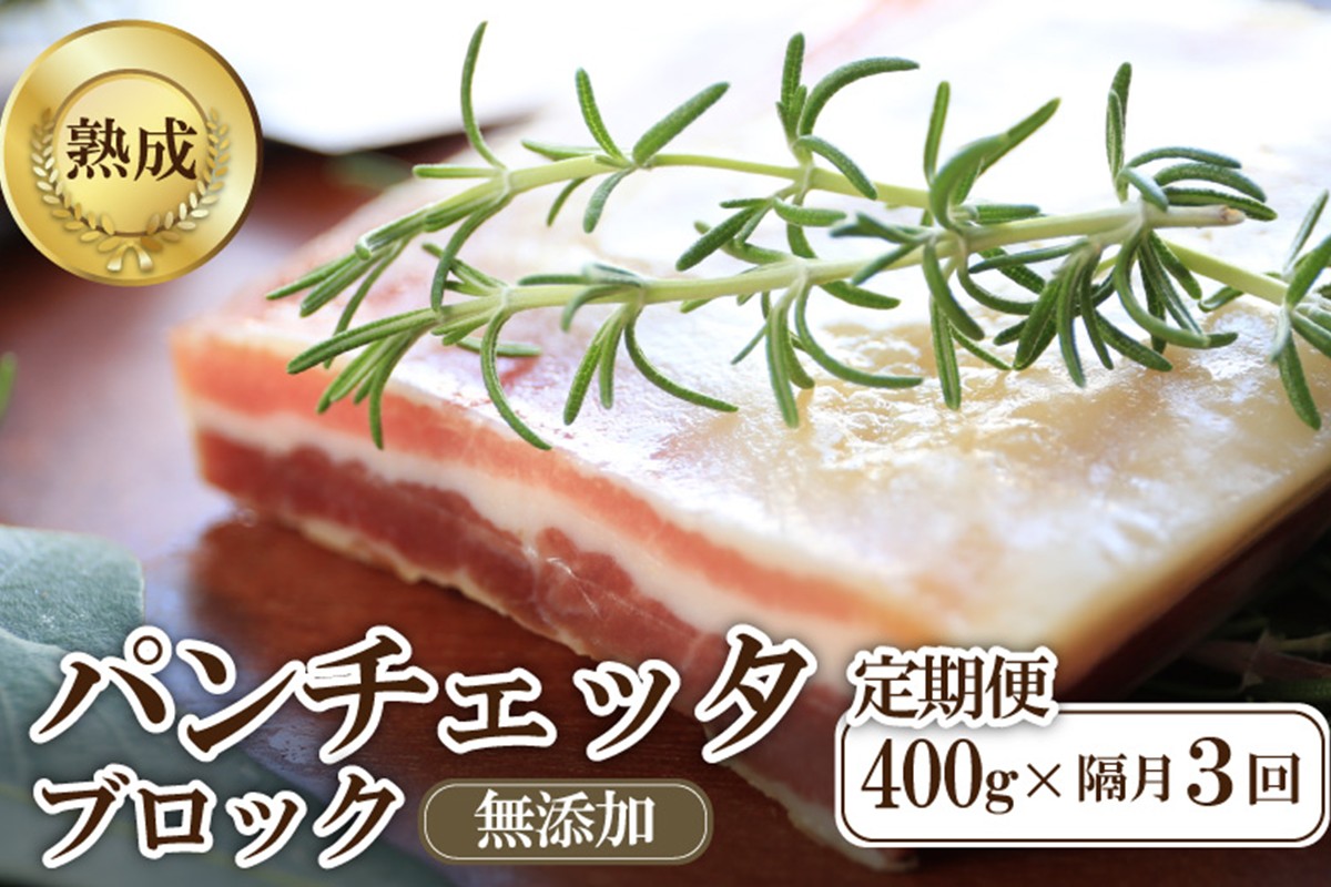 【定期便 隔月×3回】パンチェッタブロック（豚バラ肉の塩漬け）　約200g×2袋 ふるさと納税 豚肉 塩漬け ふるさと納税 ベーコン ふるさと納税 パンチェッタ 豚バラ 塩漬け スペイン料理