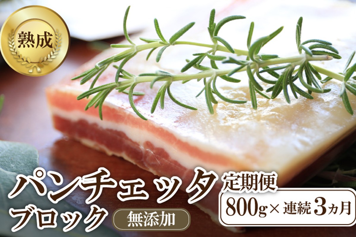 【定期便 毎月×3回】パンチェッタブロック（豚バラ肉の塩漬け）　約200g×4袋 ふるさと納税 豚肉 塩漬け ふるさと納税 ベーコン ふるさと納税 パンチェッタ 豚バラ 塩漬け スペイン料理