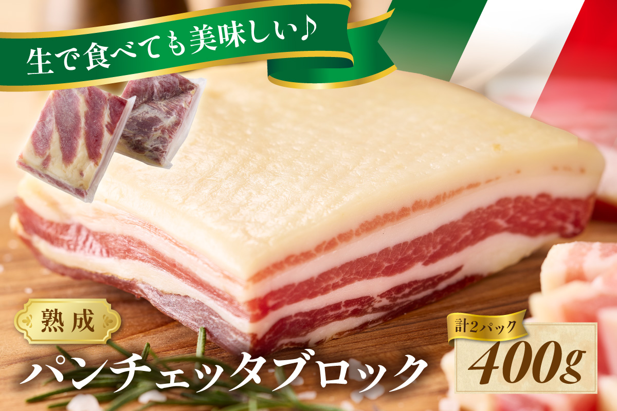 パンチェッタブロック（豚バラ肉の塩漬け）　約200g×2袋 ふるさと納税 豚肉 塩漬け ふるさと納税 ベーコン ふるさと納税 パンチェッタ 豚バラ 塩漬け スペイン料理