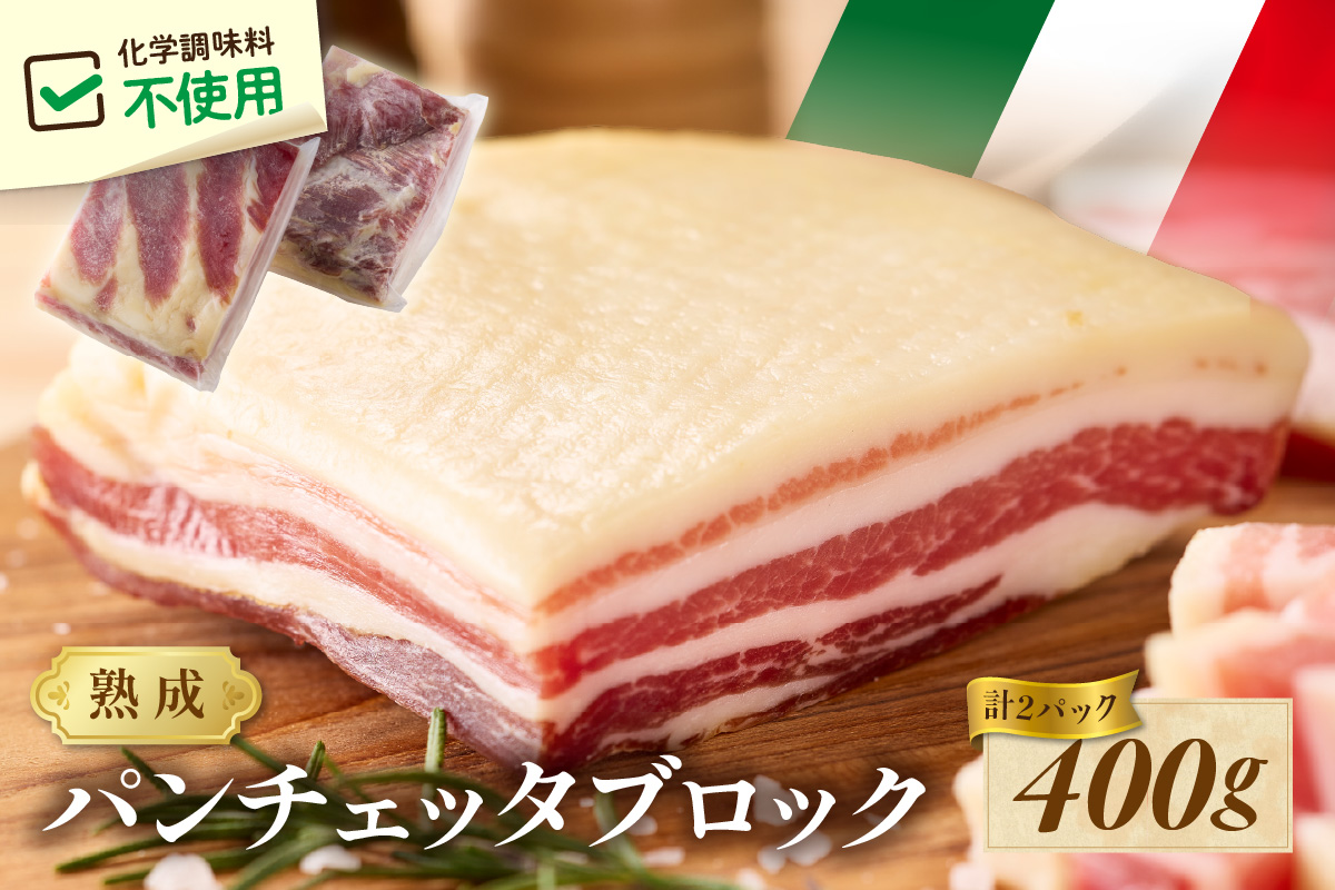 パンチェッタブロック（豚バラ肉の塩漬け）　約200g×2袋 ふるさと納税 豚肉 塩漬け ふるさと納税 ベーコン ふるさと納税 パンチェッタ 豚バラ 塩漬け スペイン料理