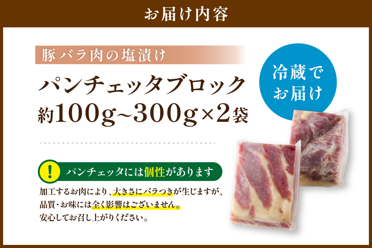 パンチェッタブロック（豚バラ肉の塩漬け）　約200g×2袋 ふるさと納税 豚肉 塩漬け ふるさと納税 ベーコン ふるさと納税 パンチェッタ 豚バラ 塩漬け スペイン料理