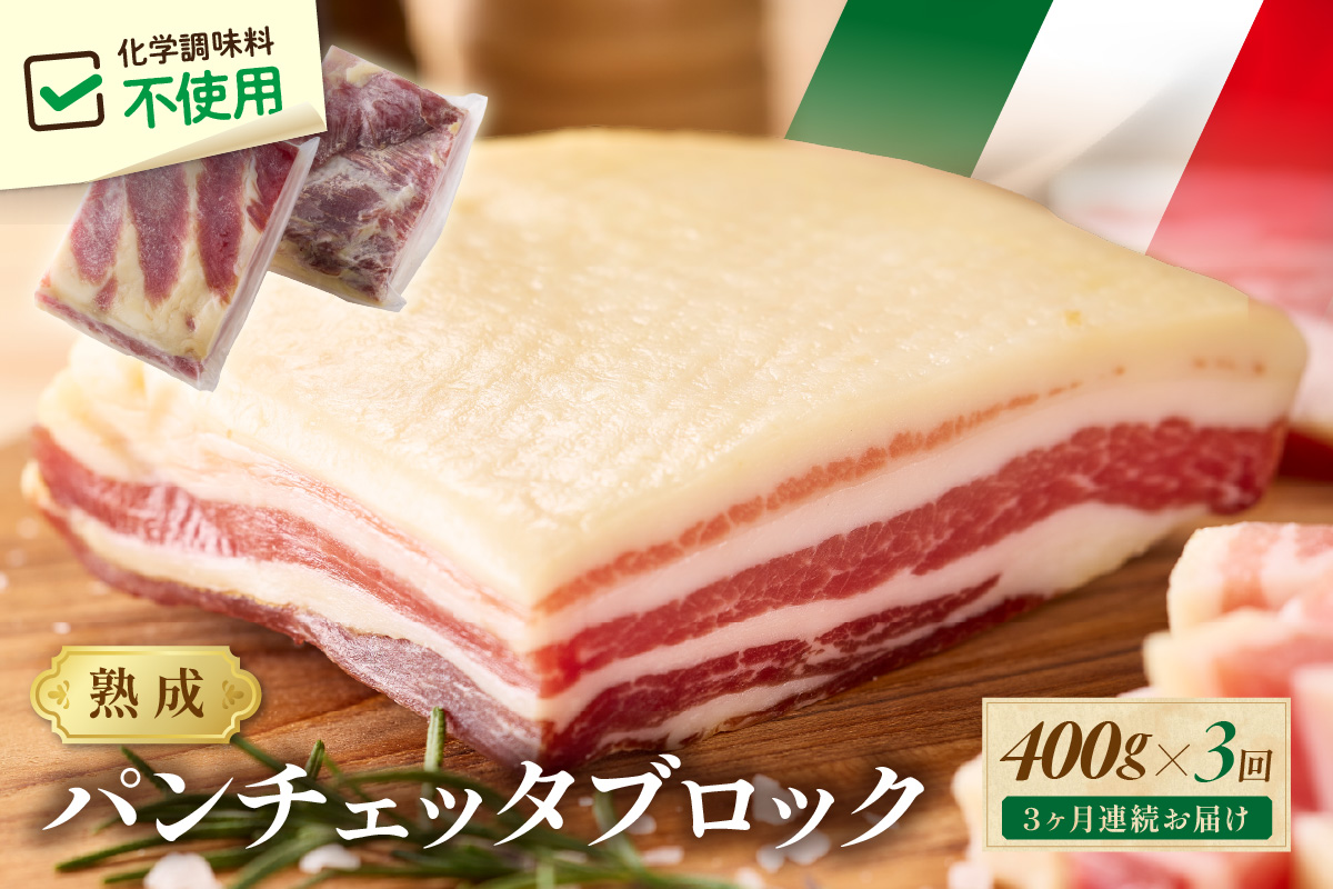 【定期便 毎月×3回】パンチェッタブロック（豚バラ肉の塩漬け）　約200g×2袋 ふるさと納税 豚肉 塩漬け ふるさと納税 ベーコン ふるさと納税 パンチェッタ 豚バラ 塩漬け スペイン料理