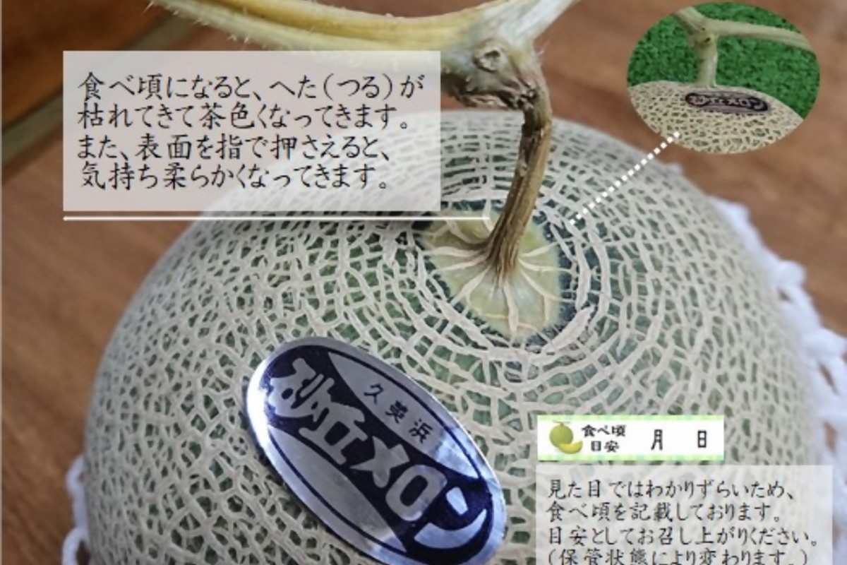 【先行予約】京都丹後久美浜産　砂丘メロン【オトメの祈り】　2Lサイズ／2玉入（2026年中旬～発送）