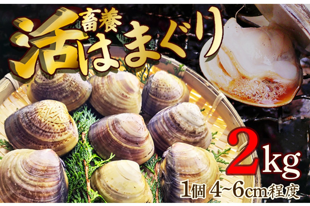 畜養活はまぐり 2kg