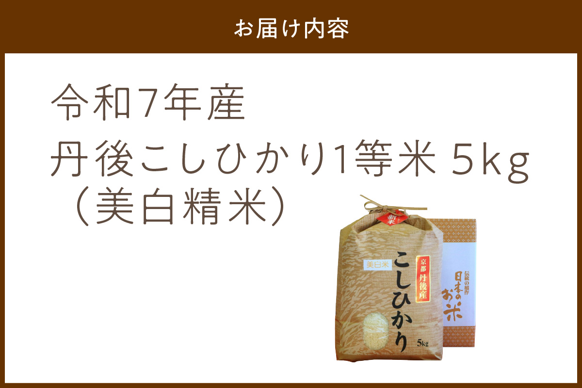 令和7年産 美白精米 丹後こしひかり 5kg 1等米