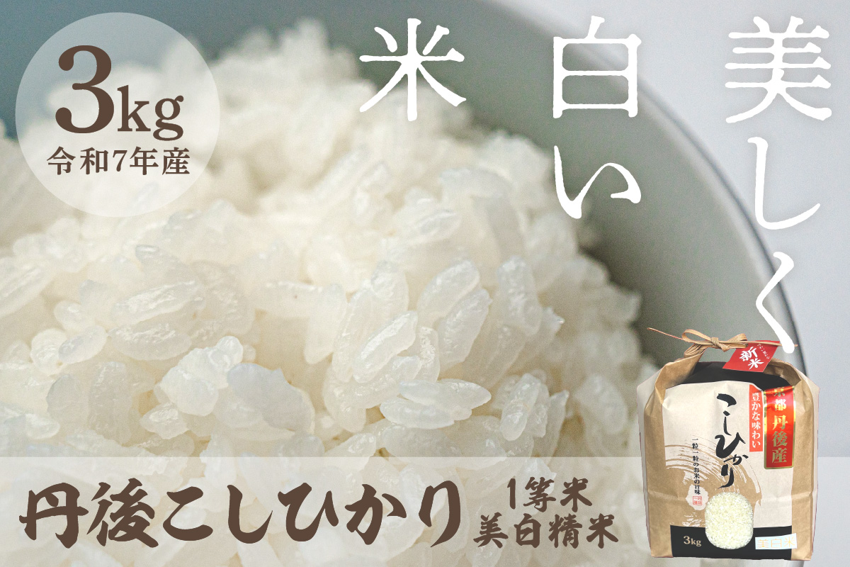令和7年産 美白精米 丹後こしひかり 3kg 1等米
