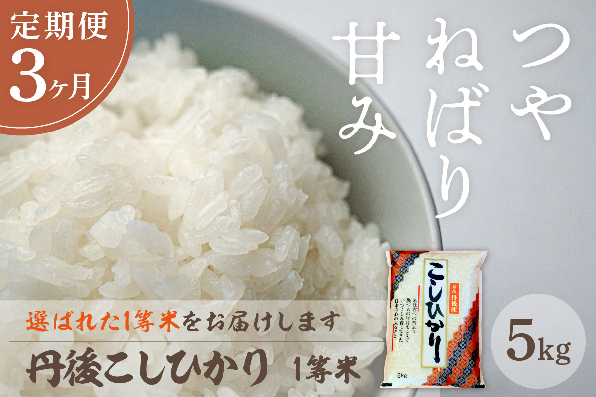 【定期便3回】令和7年産 丹後こしひかり 5kg×3ヵ月 1等米　お米 コメ こめ 丹後 コシヒカリ 精米 ふるさと 納税 コシヒカリ 精米 ふるさと 納税 こしひかり 精米 ふるさと 納税 米