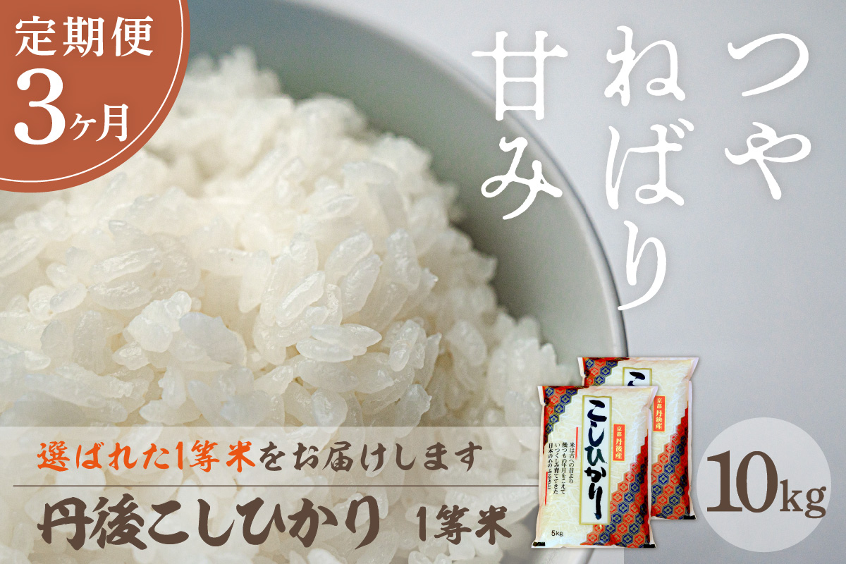 【定期便3回】令和7年産  丹後こしひかり 10kg×3ヵ月 1等米　お米 コメ こめ 丹後 コシヒカリ 精米 ふるさと 納税 コシヒカリ 精米 ふるさと 納税 こしひかり 精米 ふるさと 納税 米