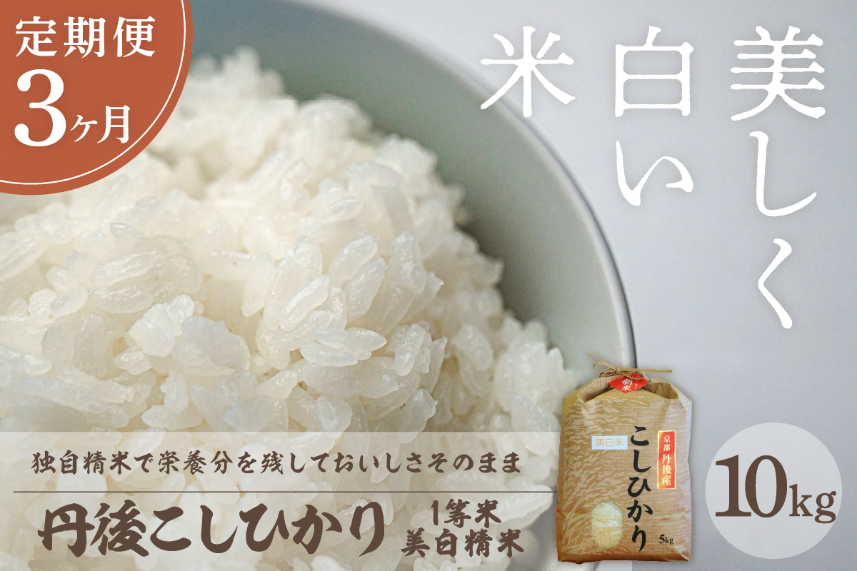 【定期便3回】令和7年産  美白精米 丹後こしひかり 10kg×3ヵ月 1等米