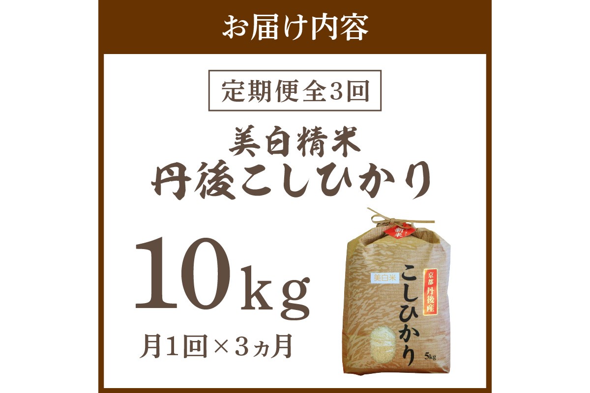 【定期便3回】令和7年産  美白精米 丹後こしひかり 10kg×3ヵ月 1等米