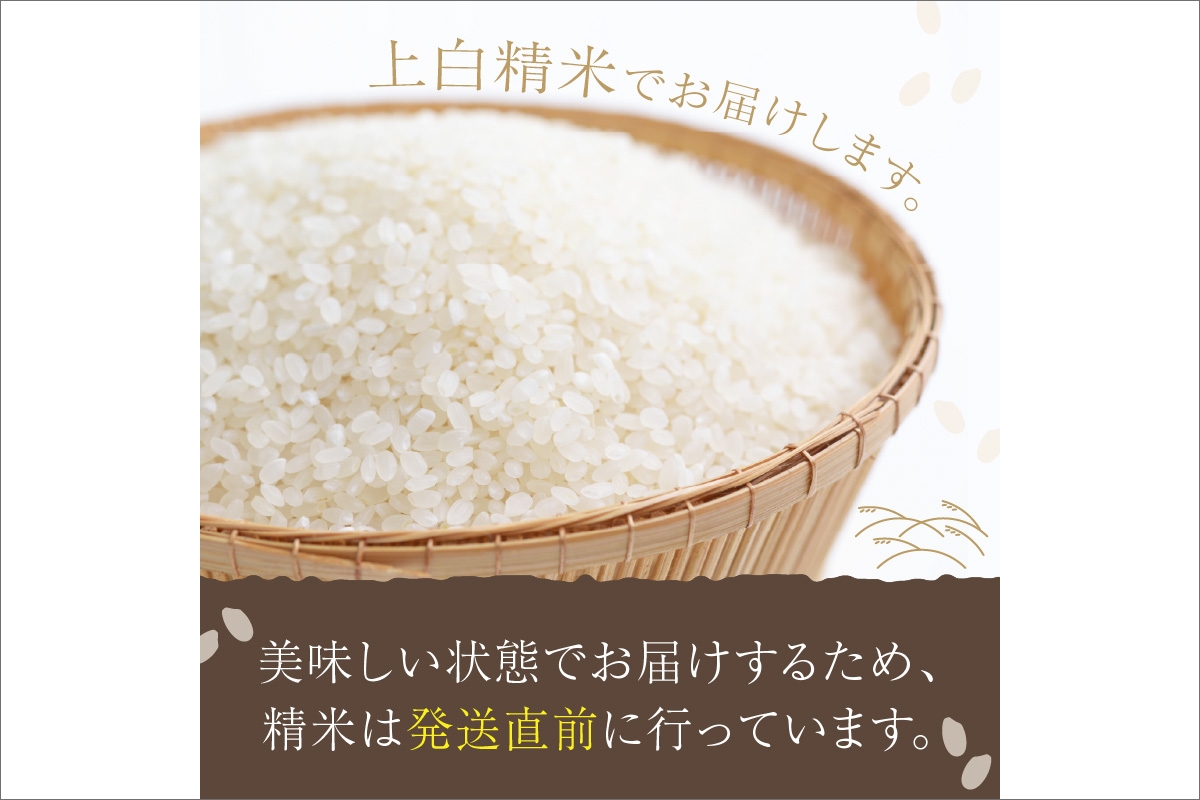 令和7年産  丹後こしひかり 3kg 1等米