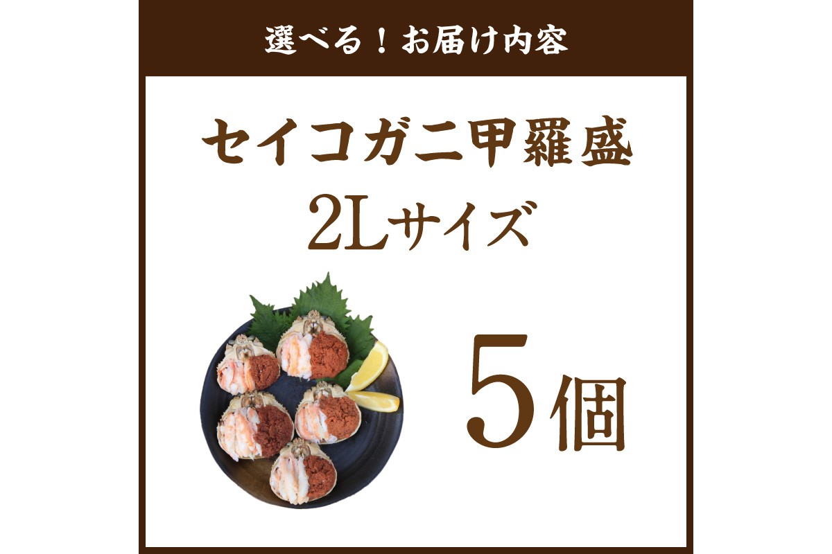 繧サ繧、繧ウ繧ャ繝狗抜鄒逶2L繧オ繧、繧コ 5蛟九そ繝繝 陝ケ 縺オ繧九&縺ィ邏咲ィ 繧ォ繝 縺オ繧九&縺ィ邏咲ィ 縺九↓ 縺オ繧九&縺ィ邏咲ィ 豬キ魄ョ 縺オ繧九&縺ィ邏咲ィ 譚セ闡峨ぎ繝 縺オ繧九&縺ィ邏咲ィ 繧サ繧ウ繧ャ繝