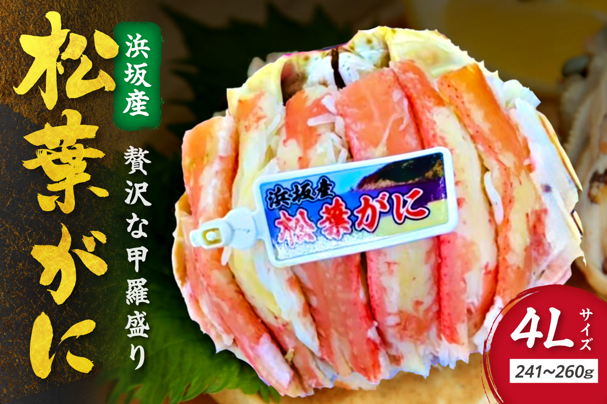 松葉ガニ甲羅盛4Lサイズ 1個 カニ 松葉蟹 ズワイガニ 甲羅盛 ふるさと納税 カニ