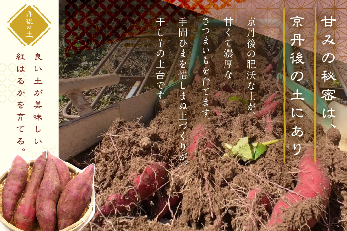 「朝だ！生です 旅サラダ」で紹介！ 京都・京丹後産干しいも　100g×10セット