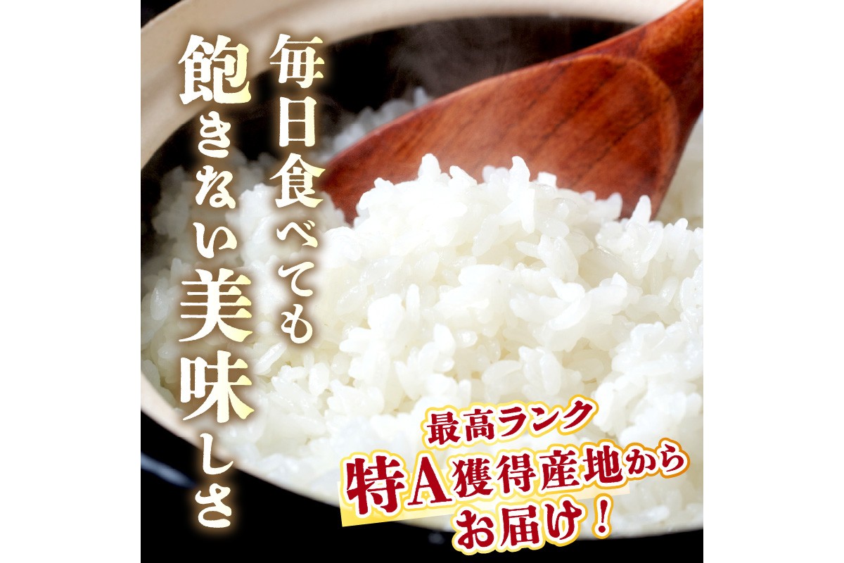 直売所直送「令和7年産　京丹後市産　コシヒカリ」　精米5kg こめ ふるさと納税 コシヒカリ 精米 米 精米 白米 2025 年 京都産