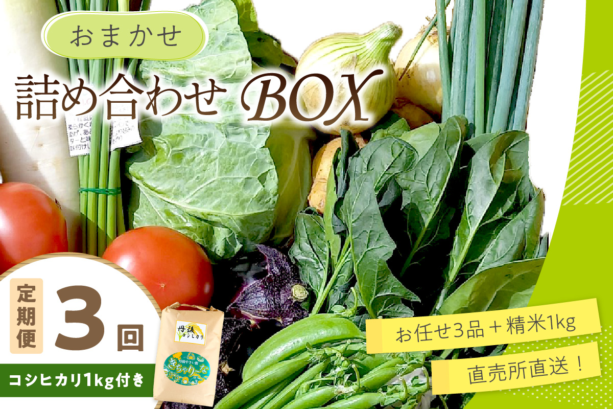 直売所直送【訳あり】 「京都・京丹後産 季節の野菜」お任せ詰め合わせBOX（3品）＋コシヒカリ精米1kg 定期便3回
