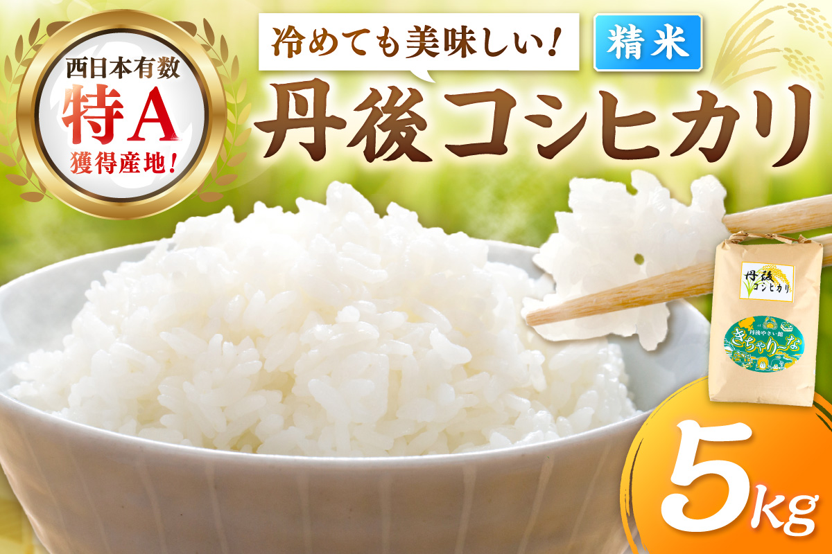 直売所直送「令和7年産　京丹後市産　コシヒカリ」　精米5kg こめ ふるさと納税 コシヒカリ 精米 米 精米 白米 2025 年 京都産