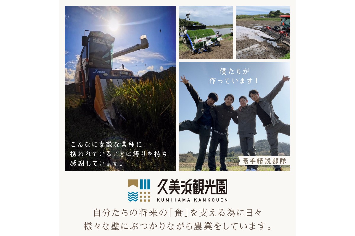縲蝉コャ荳ケ蠕檎肇縲代↓縺倥ョ縺阪i繧√″ 10kg 迚ケ蛻・譬ス蝓ケ邀ウ 縺ォ縺倥ョ縺阪i繧√″ 縺顔アウ 莠ャ荳ケ蠕檎肇 莠ャ荳ケ蠕 荳ケ蠕 縺斐ッ繧 縺オ繧九&縺ィ邏咲ィ 邀ウ