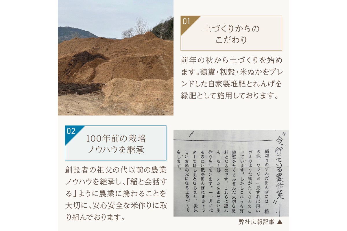 縲蝉コャ荳ケ蠕檎肇縲代↓縺倥ョ縺阪i繧√″ 10kg 迚ケ蛻・譬ス蝓ケ邀ウ 縺ォ縺倥ョ縺阪i繧√″ 縺顔アウ 莠ャ荳ケ蠕檎肇 莠ャ荳ケ蠕 荳ケ蠕 縺斐ッ繧 縺オ繧九&縺ィ邏咲ィ 邀ウ