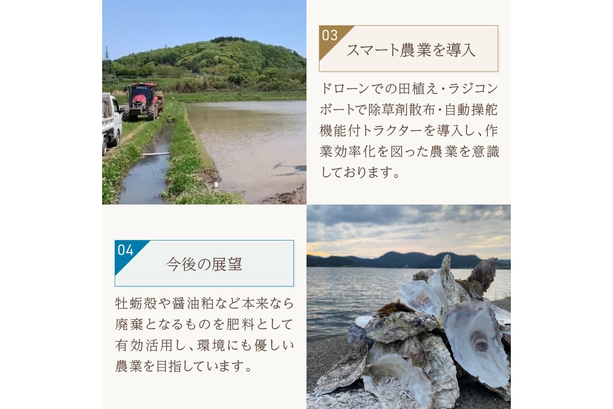 縲蝉コャ荳ケ蠕檎肇縲代↓縺倥ョ縺阪i繧√″ 10kg 迚ケ蛻・譬ス蝓ケ邀ウ 縺ォ縺倥ョ縺阪i繧√″ 縺顔アウ 莠ャ荳ケ蠕檎肇 莠ャ荳ケ蠕 荳ケ蠕 縺斐ッ繧 縺オ繧九&縺ィ邏咲ィ 邀ウ