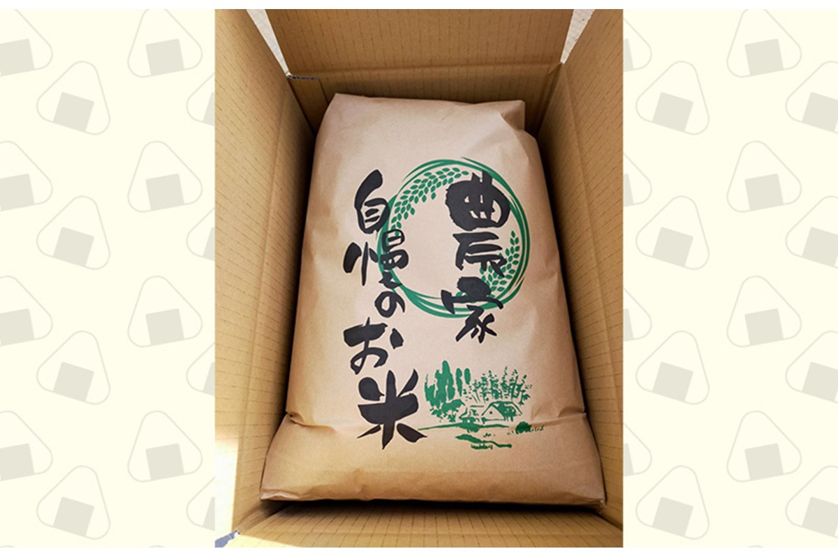 2025年産　京丹後産コシヒカリ 精米5kg ふるさと納税 米 お米 ご飯 ごはん コシヒカリ 国産 こめ ごはん 京都産 こしひかり 農家応援 生産者応援 送料無料