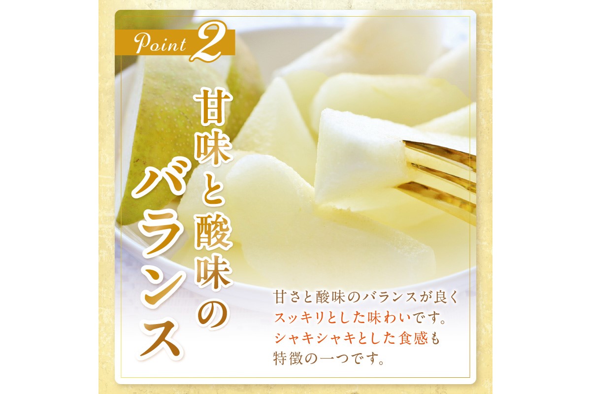 【先行予約／数量限定150】京丹後産 20世紀梨 5kg（12〜16玉入り）（2026年9月上旬〜発送）