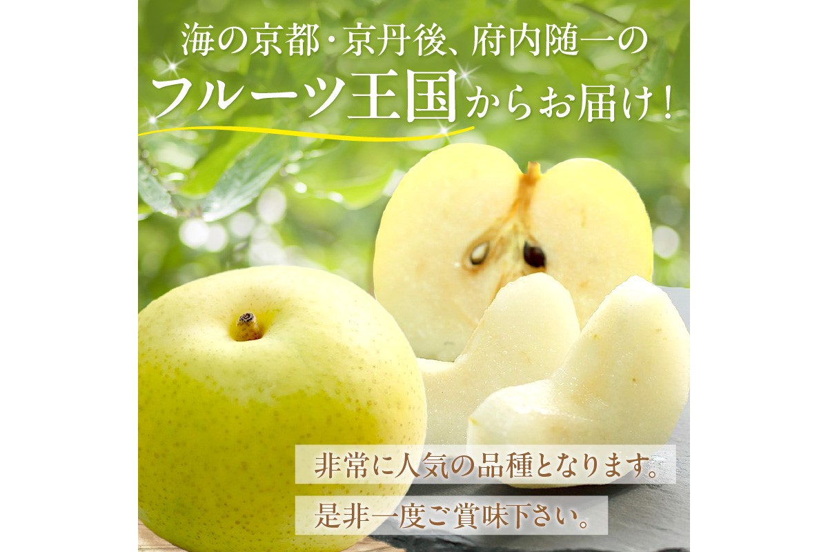【先行予約／数量限定150】京丹後産 20世紀梨 5kg（12〜16玉入り）（2026年9月上旬〜発送）