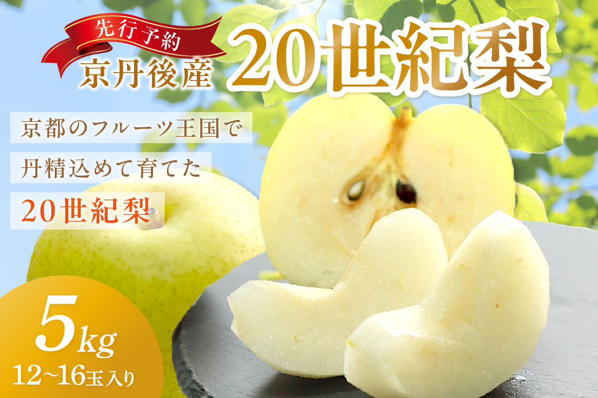 【先行予約／数量限定150】京丹後産 20世紀梨 5kg（12〜16玉入り）（2026年9月上旬〜発送）