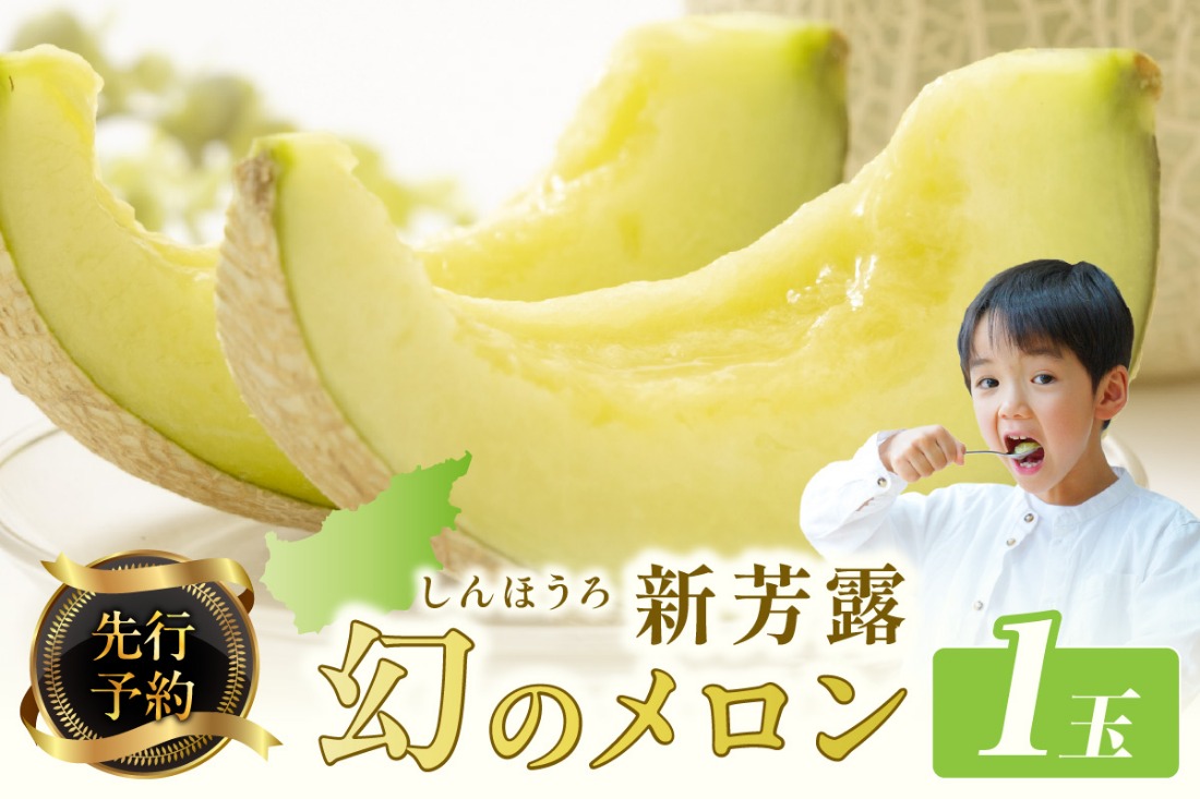 【先行予約】幻のメロン 新芳露 1玉（2026年7月下旬～発送）