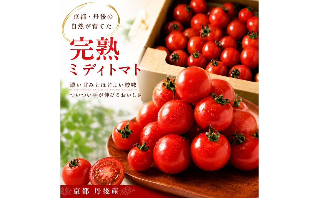 【収穫期限定】京都丹後産　完熟ミディトマト　約1.4kg 京都丹後産 完熟ミディトマト