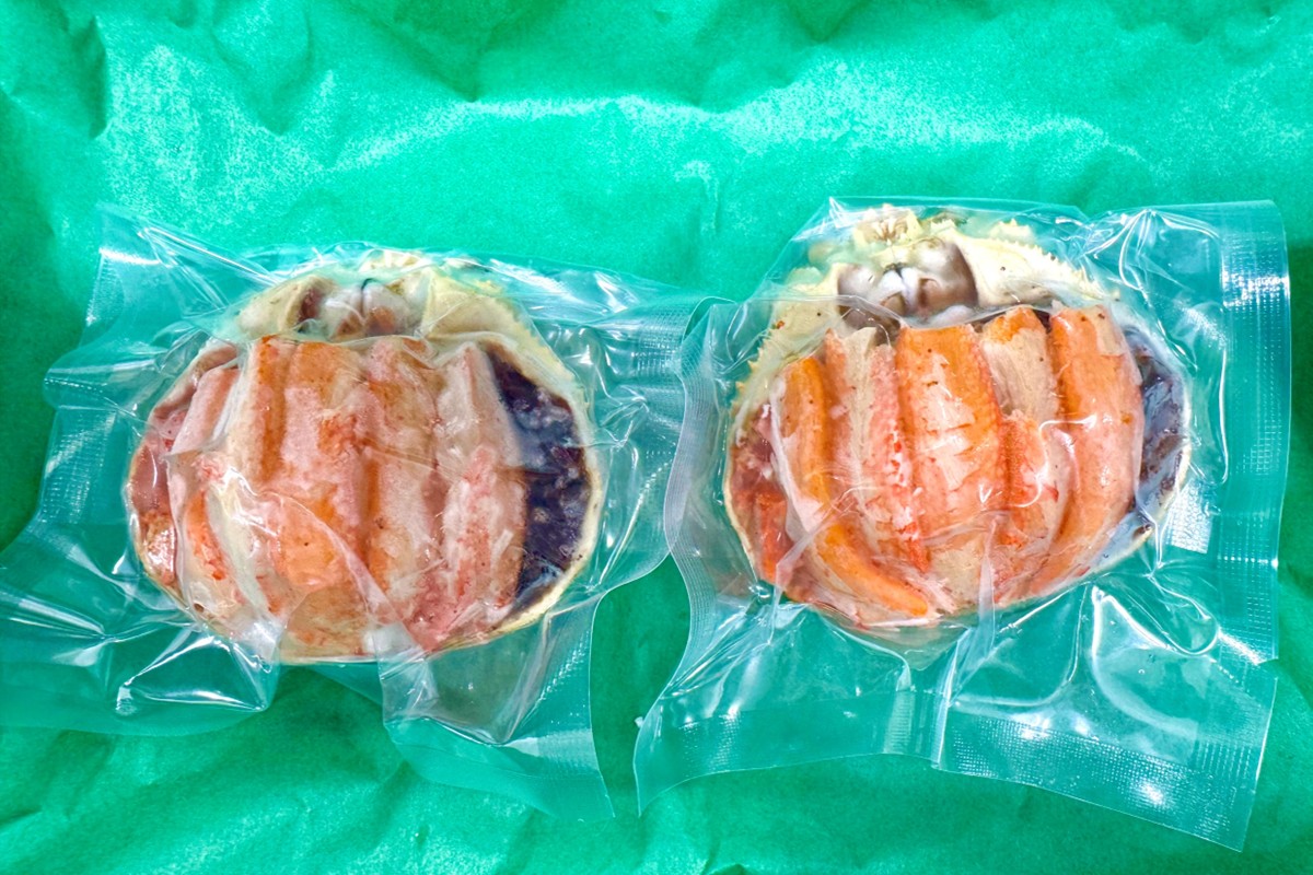 繧サ繧、繧ウ繧ャ繝狗抜鄒逶2L繧オ繧、繧コ 2蛟九そ繝繝 陝ケ 縺オ繧九&縺ィ邏咲ィ 繧ォ繝 縺オ繧九&縺ィ邏咲ィ 縺九↓ 縺オ繧九&縺ィ邏咲ィ 豬キ魄ョ 縺オ繧九&縺ィ邏咲ィ 譚セ闡峨ぎ繝 縺オ繧九&縺ィ邏咲ィ 繧サ繧ウ繧ャ繝