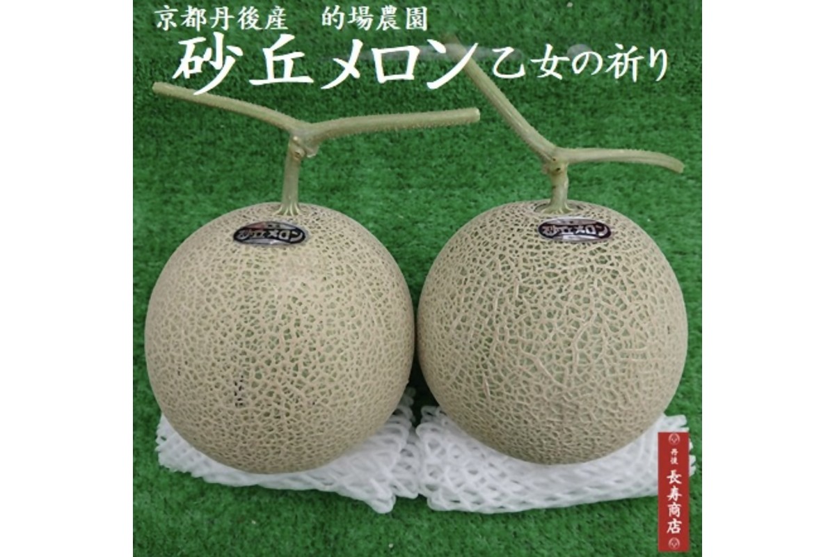 【先行予約】京都丹後久美浜産　砂丘メロン【オトメの祈り】　2Lサイズ／1玉入（2026年7月中旬～発送）