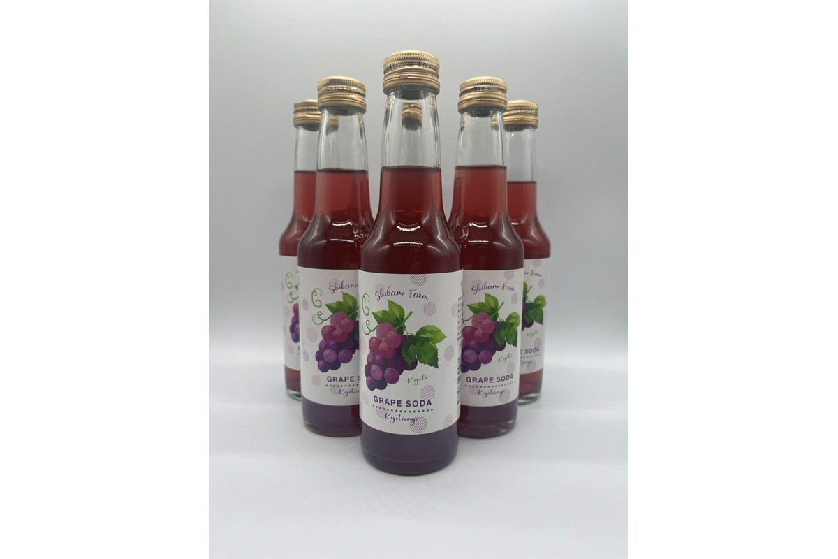 京丹後のぶどう炭酸ジュース（ソーダ） 小瓶6本入り（2025年9月下旬～発送）