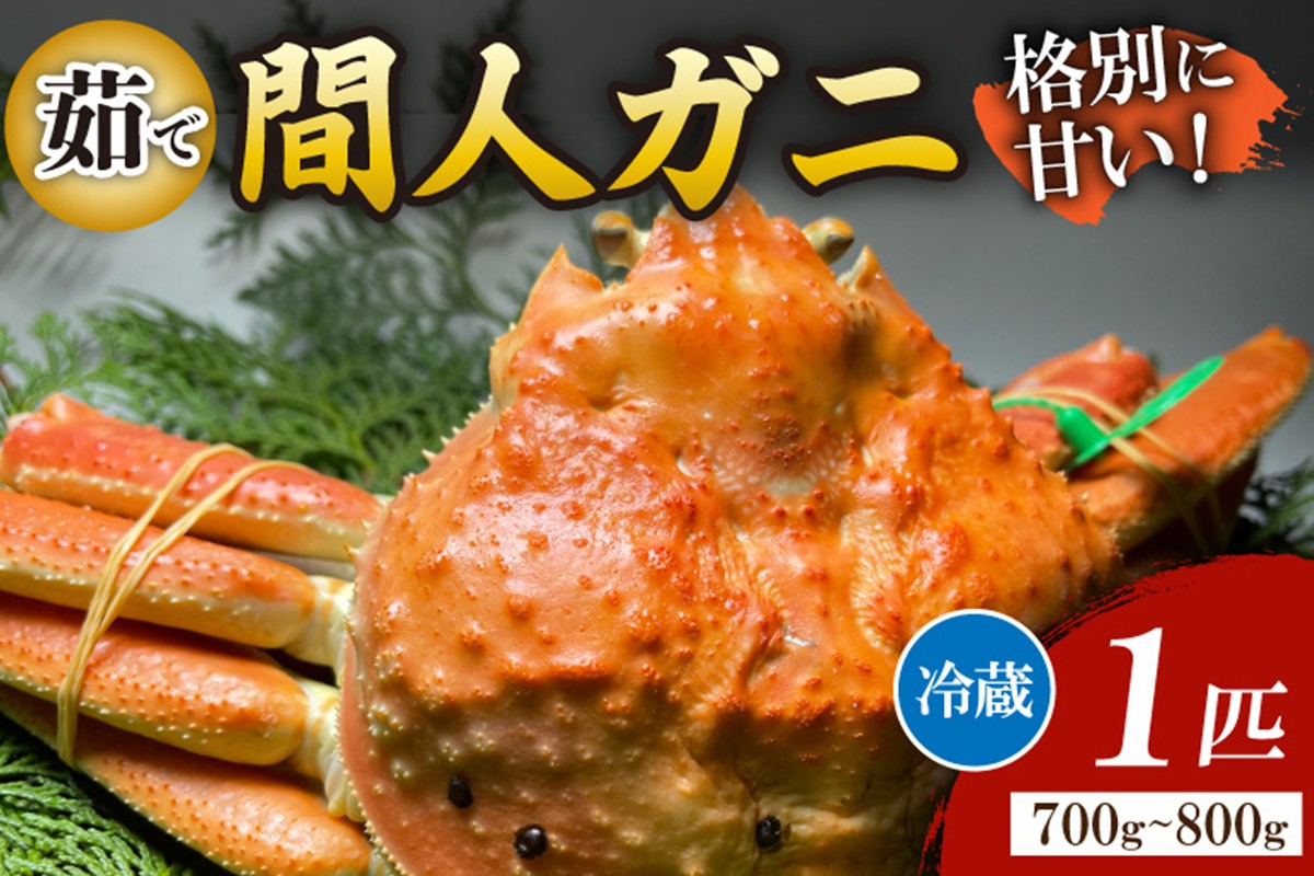 間人漁港仲買人の丸友鮮魚三代目・自慢の間人ガニ≪茹で≫[1匹 700～800g]
