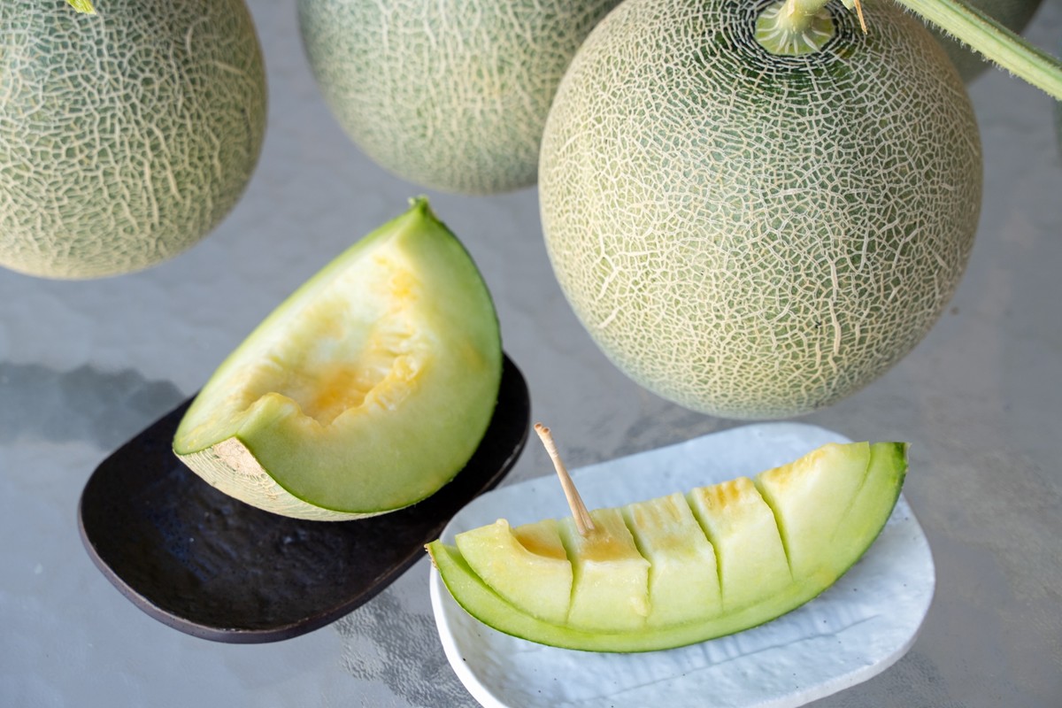 【先行予約】野木源の源喜メロン 2玉入り（2026年7月下旬～発送）