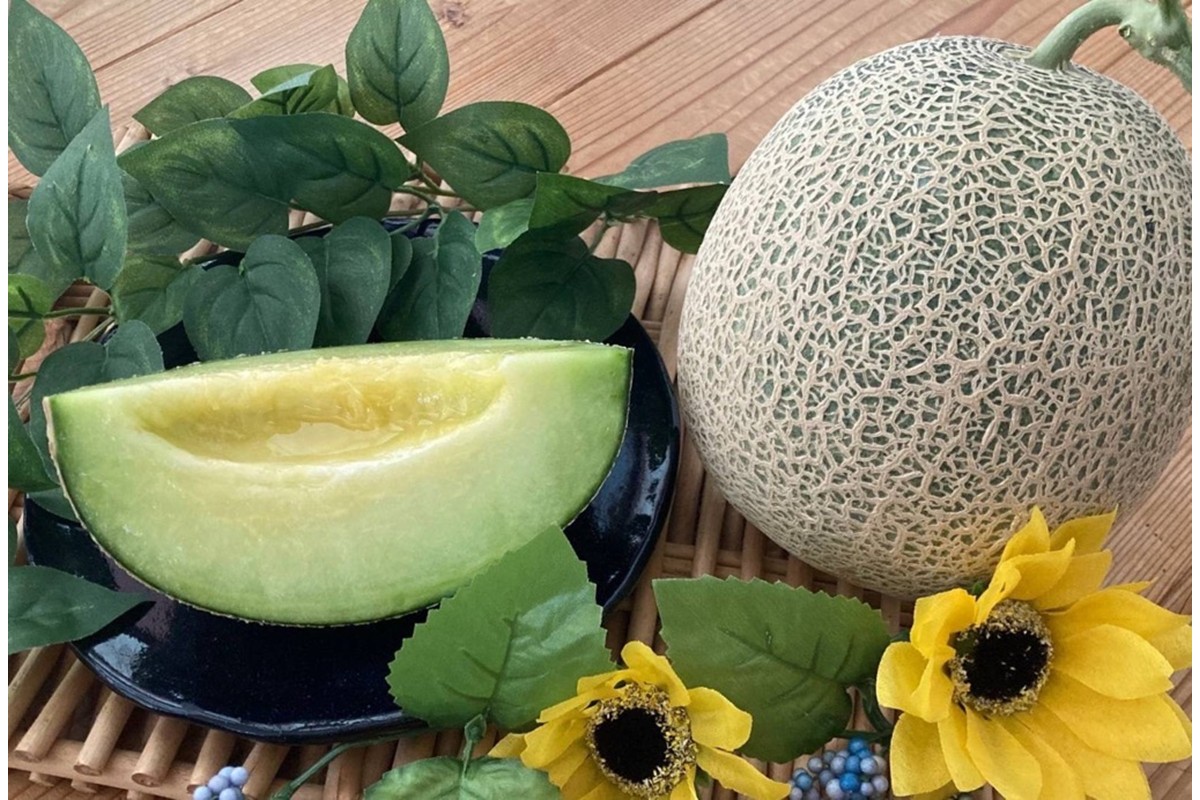 【先行予約】京丹後・俵野産 砂丘メロン 2L以上 1玉（2026年7月下旬～発送）