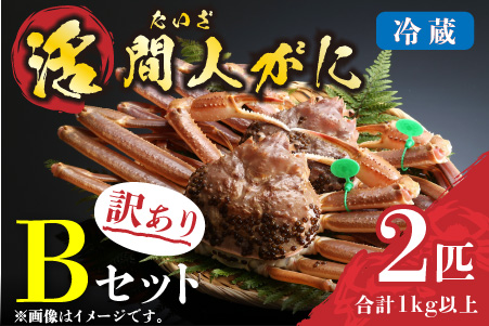 （訳あり）活間人がに　2匹　Bセット　1/10〜1/21発送予定