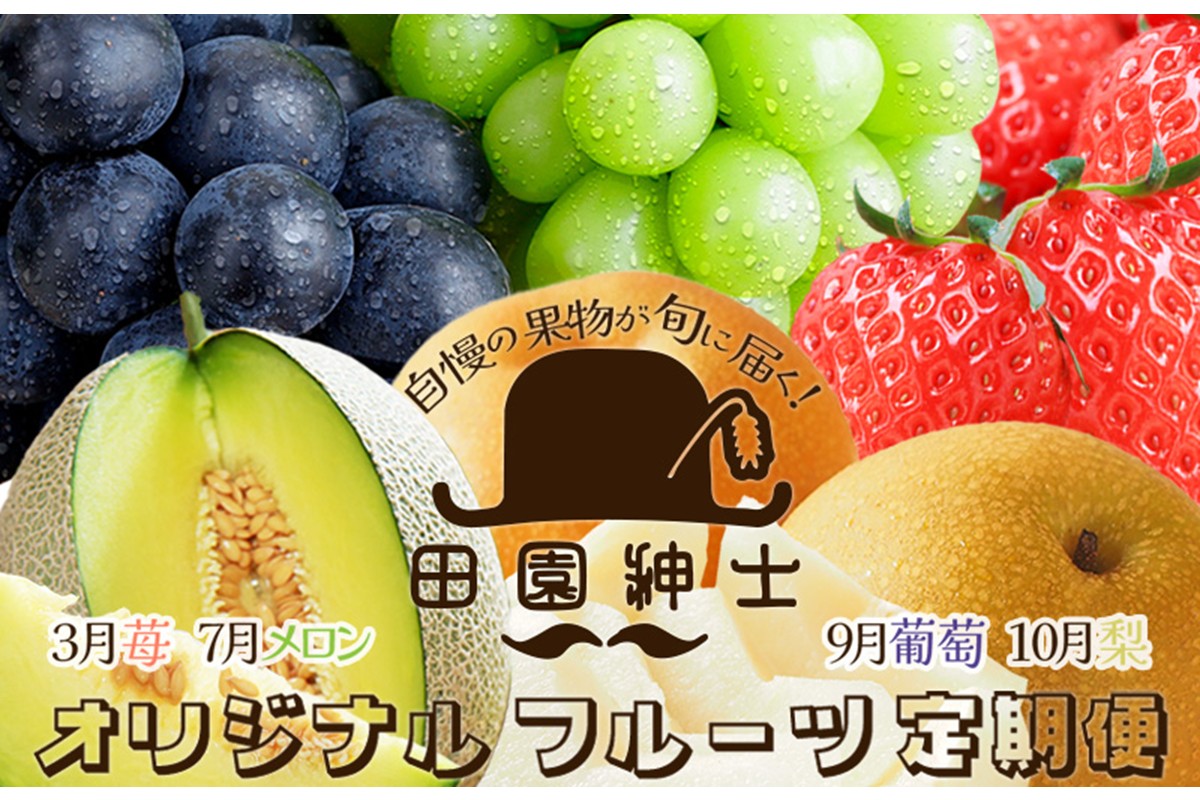田園紳士厳選　オリジナルフルーツ定期便4回【イチゴ、メロン、黒葡萄、シャインマスカット、梨】