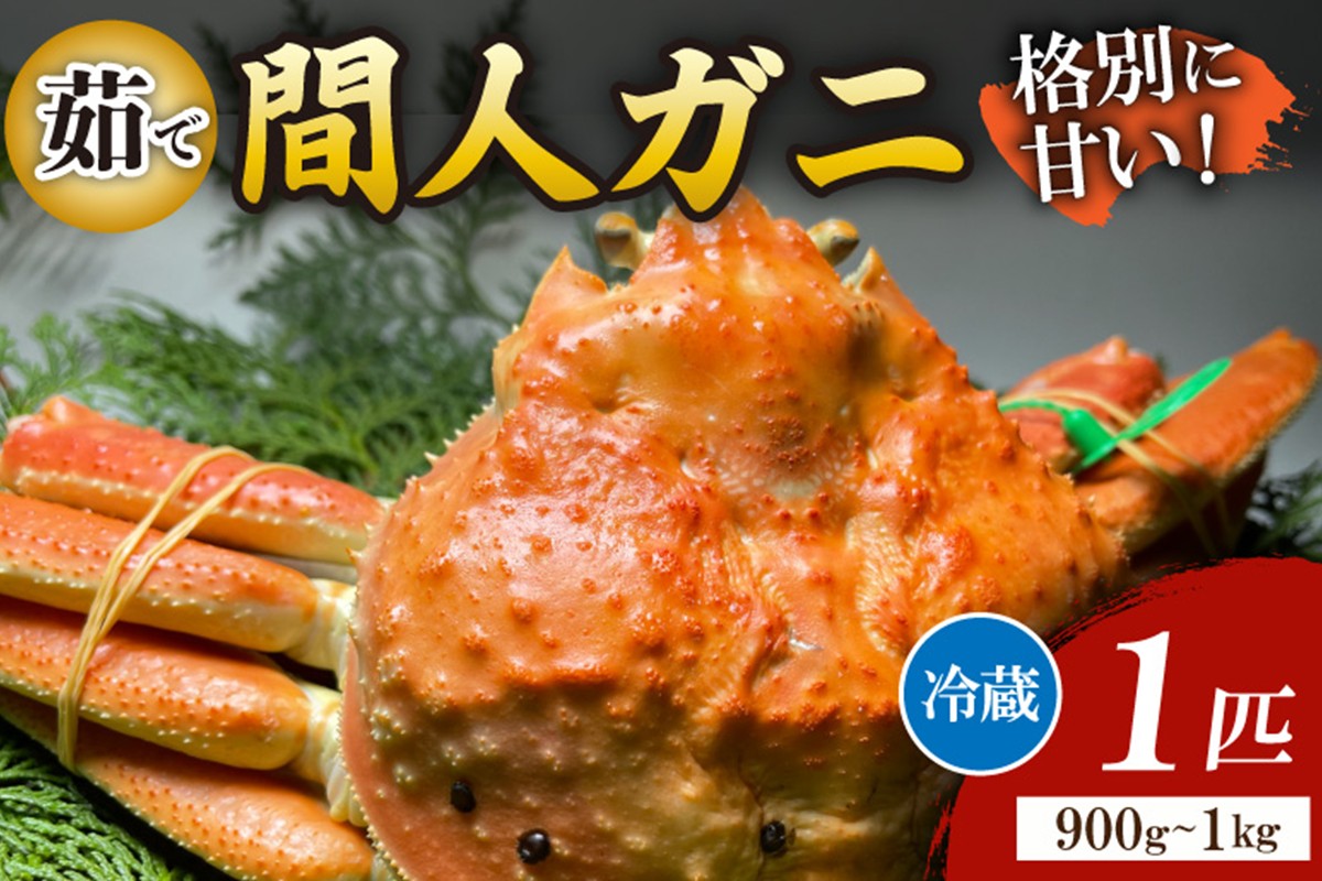 間人漁港仲買人の丸友鮮魚三代目・自慢の間人ガニ≪茹で≫[1匹  900~1kg]
