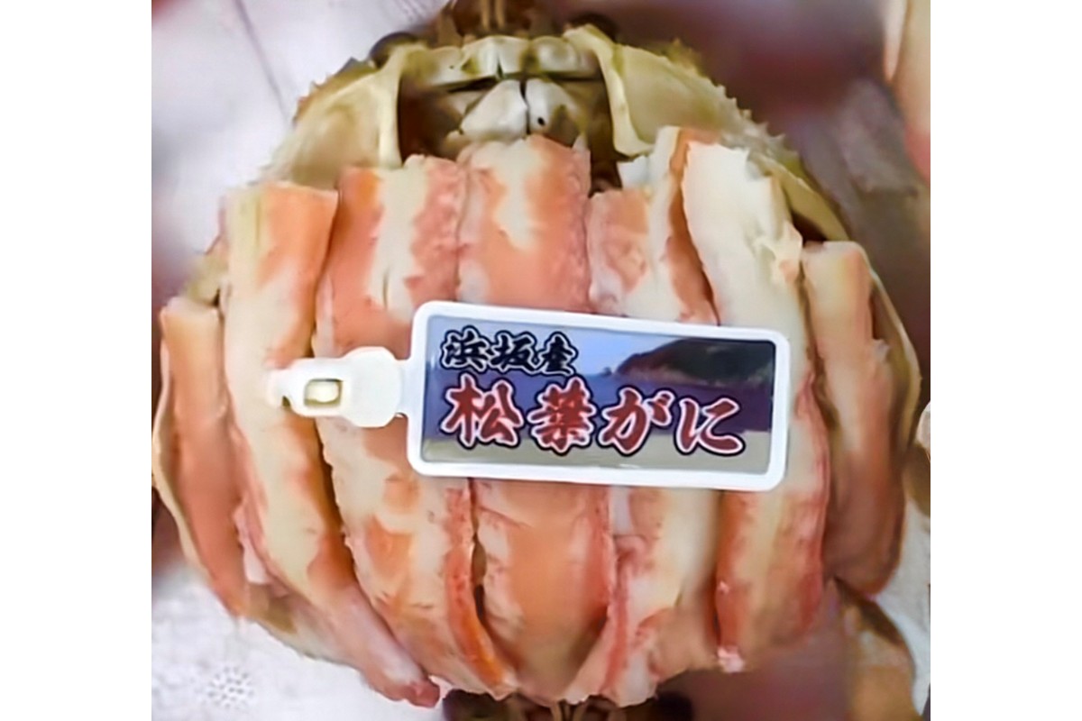 松葉ガニ甲羅盛4Lサイズ 1個 カニ 松葉蟹 ズワイガニ 甲羅盛 ふるさと納税 カニ