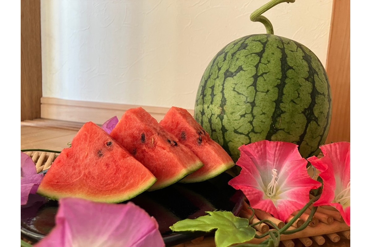 【先行予約】京丹後・俵野産 小玉スイカ 姫甘泉 1玉（2026年7月中旬～発送）