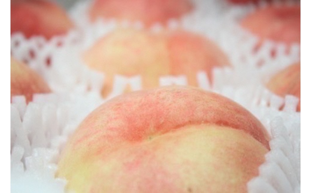 ブレンドファーム厳選!京丹後おススメフルーツ定期便3種（桃、シャインマスカット、新興梨） 桃 シャインマスカット 新興梨 フルーツ 定期便 おすすめ