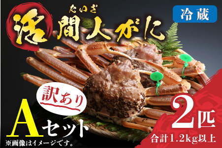 （訳あり）活間人がに 2匹 Aセット　2/22〜3/21発送予定