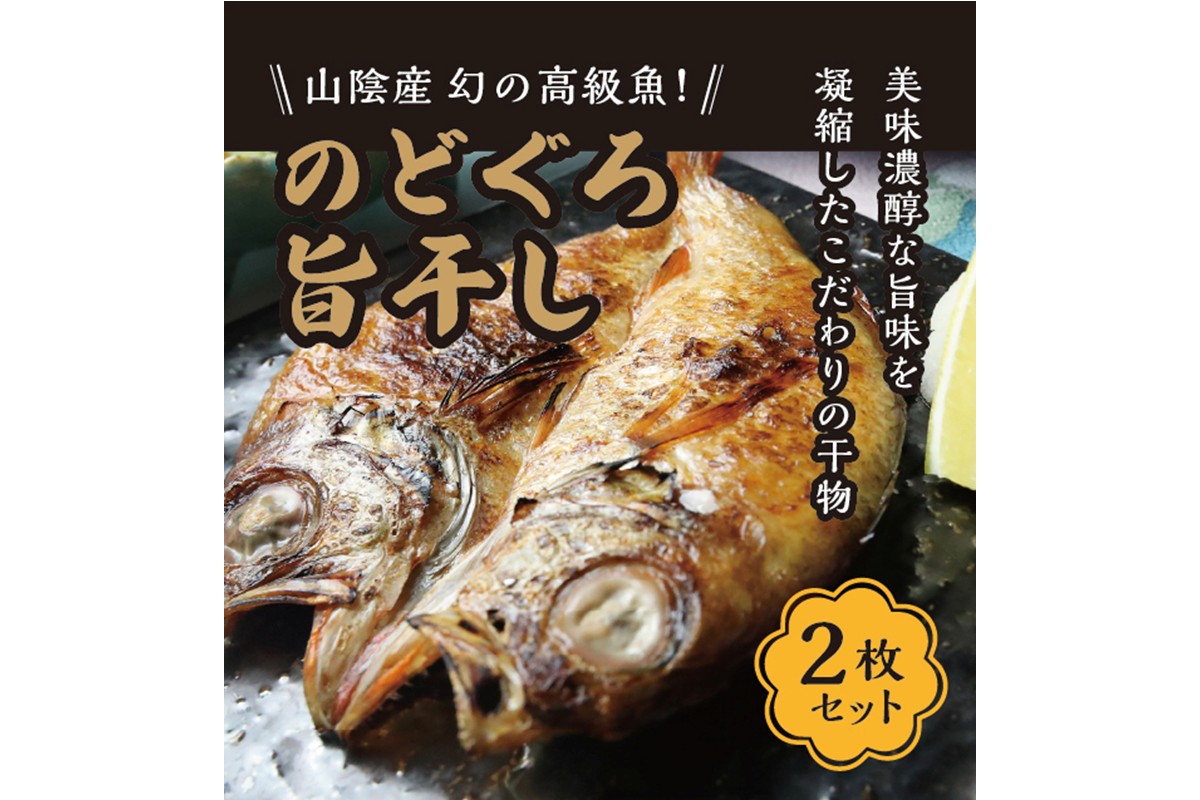 丹後ひもの屋自家製干物「旨干しノドグロの一夜干し」250ｇ～300ｇ級　2尾　漁師町の味！ 干物 のどぐろ 一夜干し ふるさと納税 干物 自家製 アカムツ