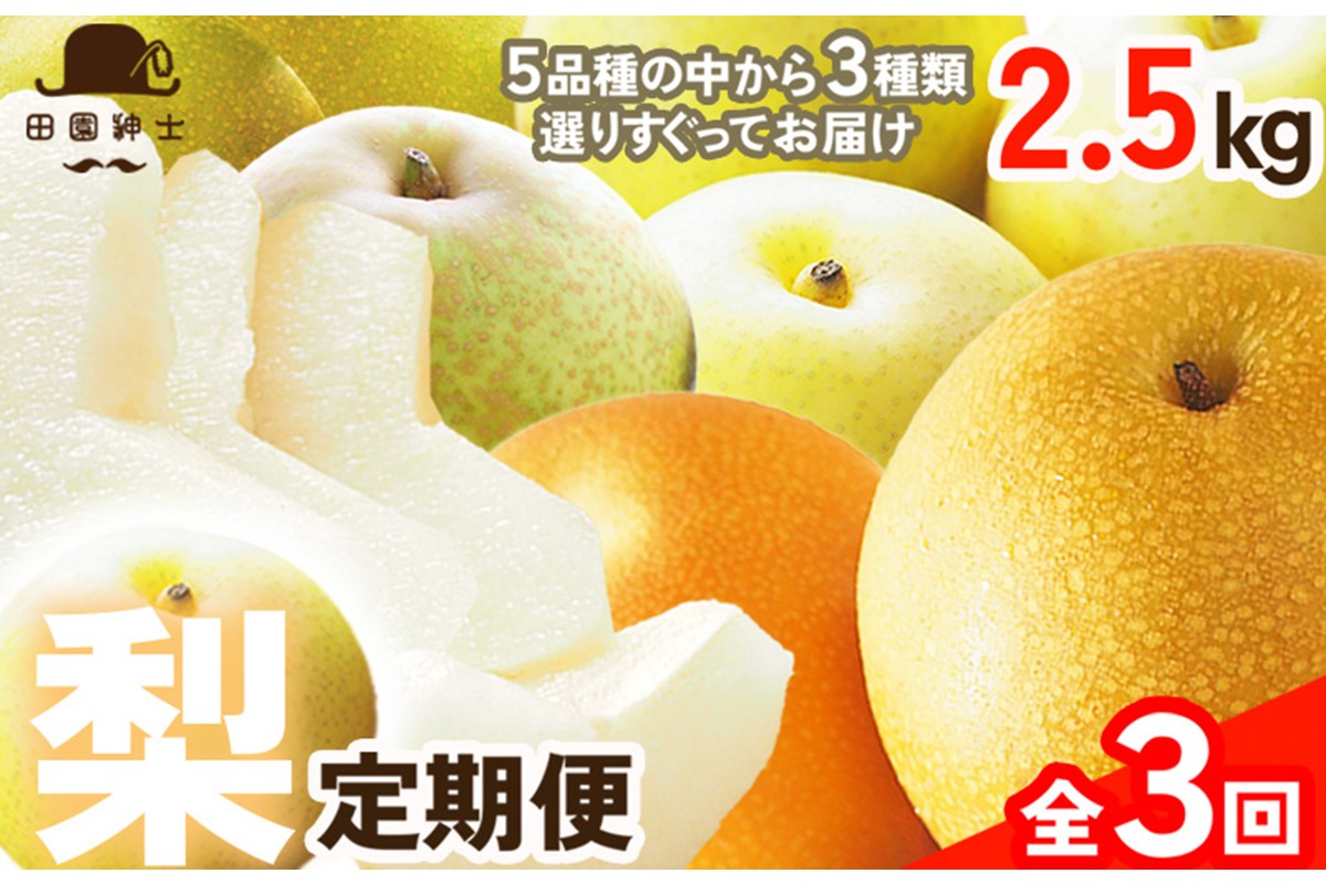 田園紳士厳選「梨好きさんのための定期便3回」（3品種（各約4〜6玉）×3回）