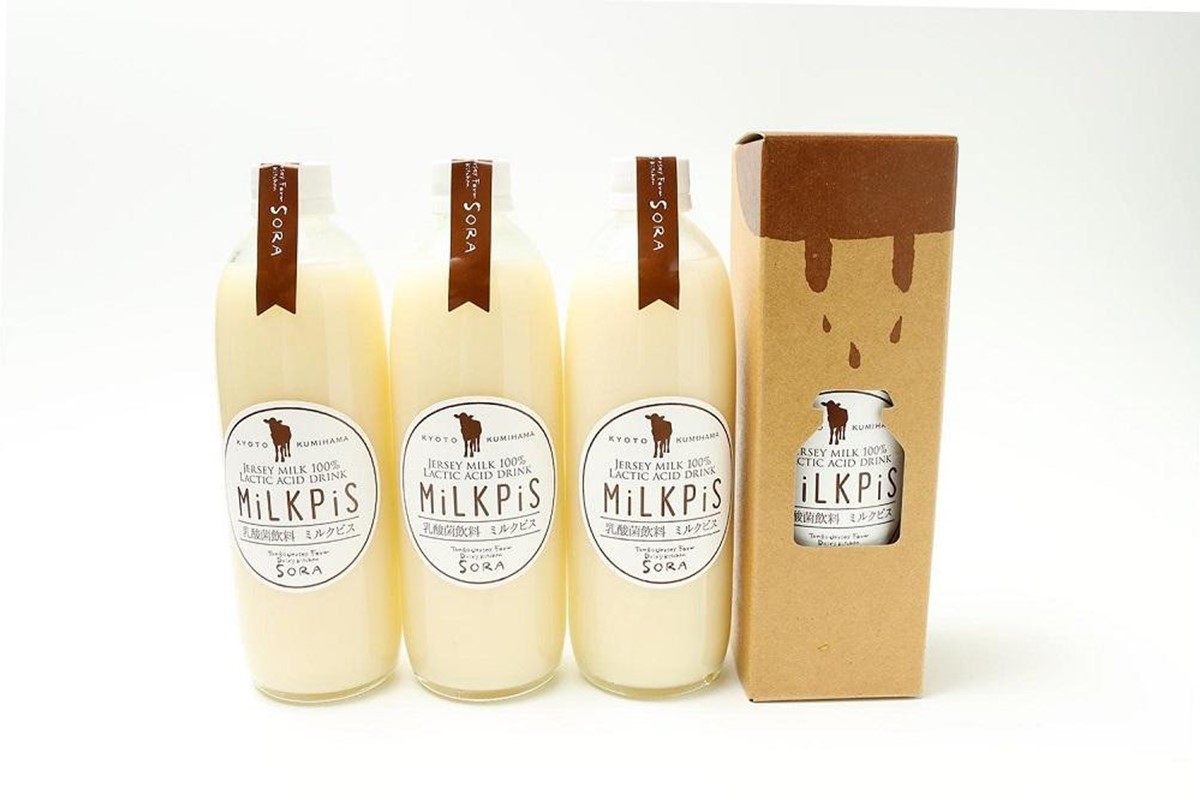 ジャージーミルクピス(500ml×4本セット)化粧箱入  ミルクピス 乳製品 丹後ジャージー牧場 ミルク工房そら ジャージー牛乳の美味しさ広がる 乳酸菌ドリンク 乳酸菌飲料
