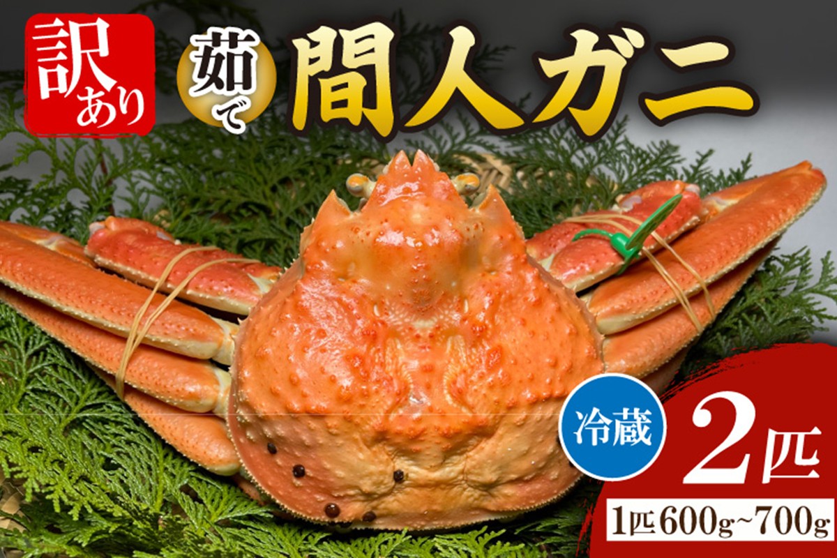 間人漁港仲買人の丸友鮮魚三代目・自慢の間人ガニ訳アリ≪茹で≫[1匹 600~700g×2匹]