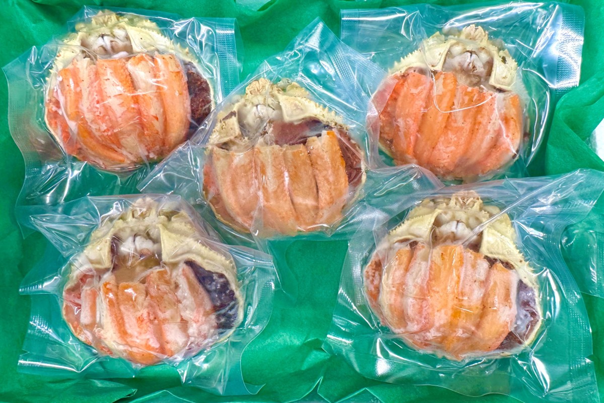 繧サ繧、繧ウ繧ャ繝狗抜鄒逶2L繧オ繧、繧コ 5蛟九そ繝繝 陝ケ 縺オ繧九&縺ィ邏咲ィ 繧ォ繝 縺オ繧九&縺ィ邏咲ィ 縺九↓ 縺オ繧九&縺ィ邏咲ィ 豬キ魄ョ 縺オ繧九&縺ィ邏咲ィ 譚セ闡峨ぎ繝 縺オ繧九&縺ィ邏咲ィ 繧サ繧ウ繧ャ繝