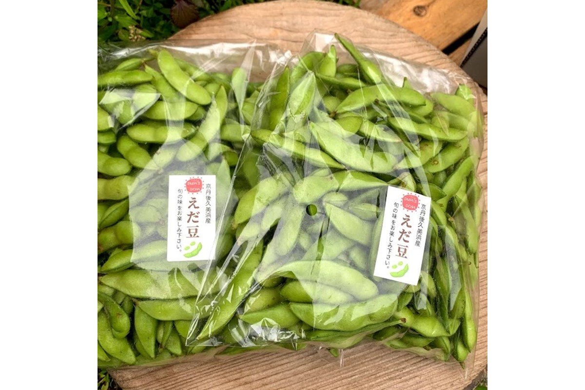 【先行予約／数量限定40】朝採り枝豆（湯上り娘）500g（250g×2パック）（栽培期間中農薬・化学肥料・除草剤不使用）（2026年7月上旬～発送）